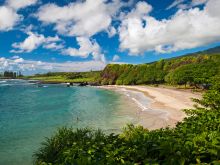 Maui #3311053 picture (Landscape Medium)