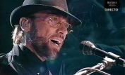 Maurice Gibb