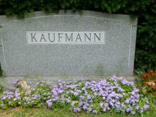 Maurice Kaufmann