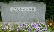 Maurice Kaufmann