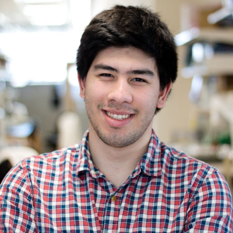 Max Bernstein