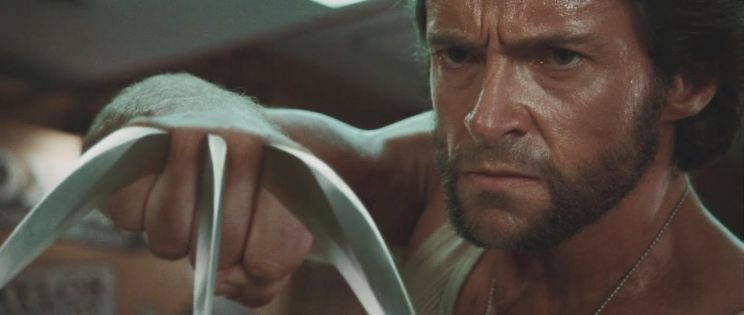 Max Cullen