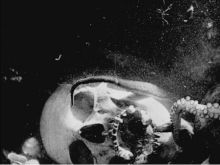 Max Schreck