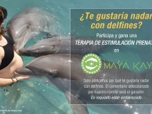Maya Kay #3005222 picture (Landscape Medium)