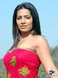 Meghna Naidu