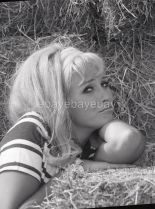 Melody Patterson