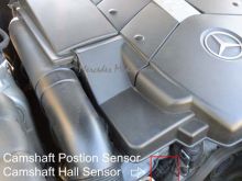 Mercedes Hall