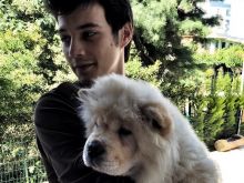 Mert Yazicioglu
