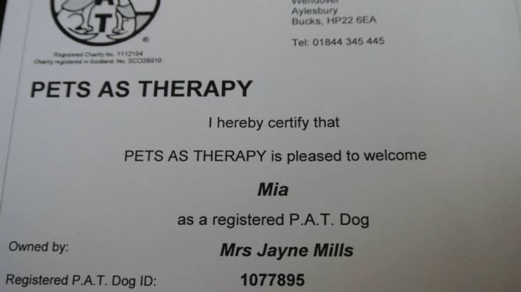 Mia Mills