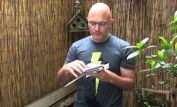 Michael Cerveris