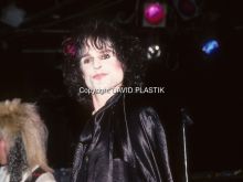 Michael Des Barres