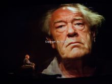Michael Gambon