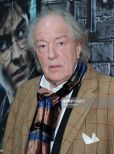 Michael Gambon