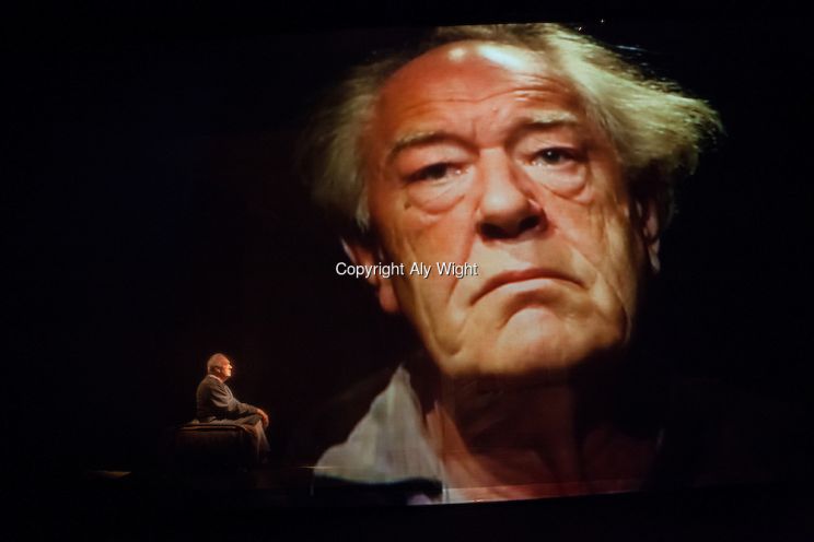 Michael Gambon