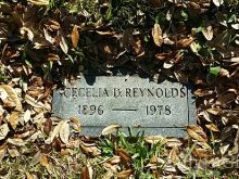 Michael J. Reynolds