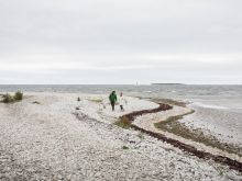 Michael Jonsson