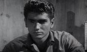 Michael Landon