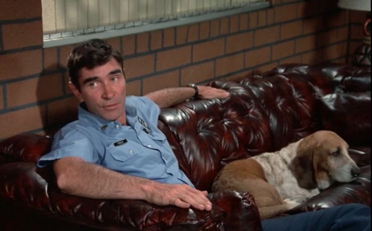 Michael Norell
