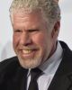 Michael Pearlman
