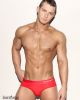 Michael Shea