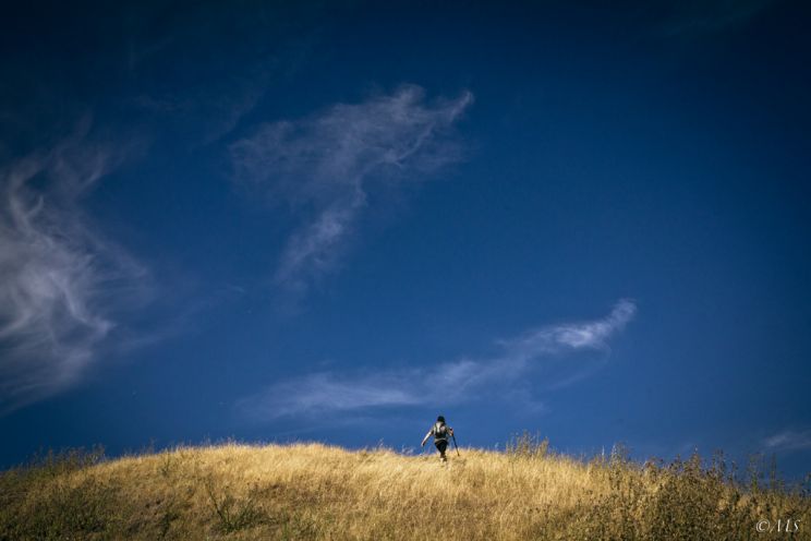 Michael Sheets