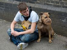 Michael Socha