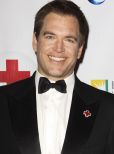 Michael Weatherly