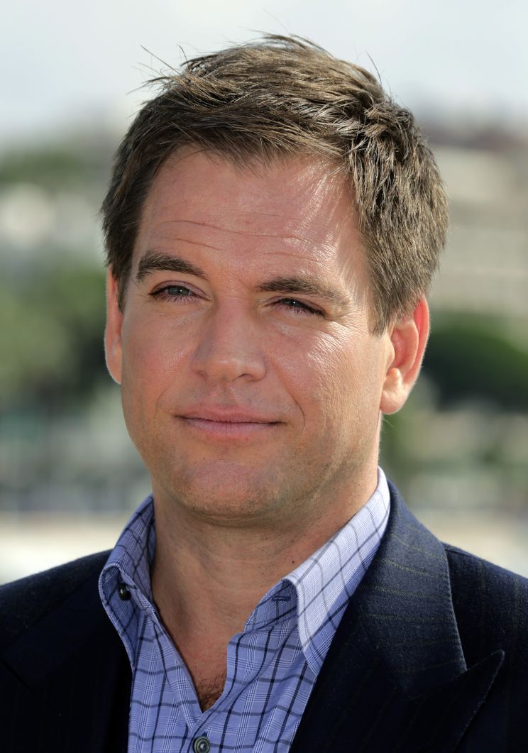 Michael Weatherly