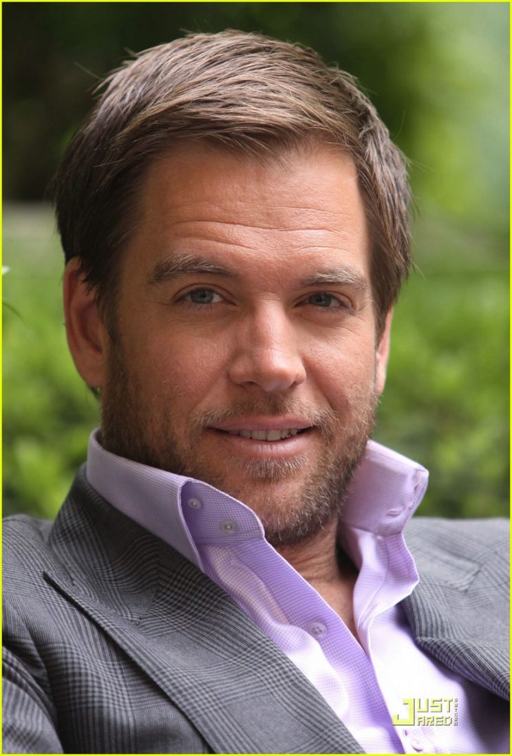 Michael Weatherly