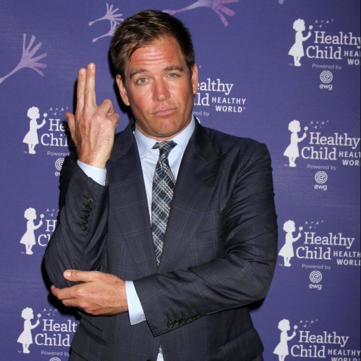 Michael Weatherly