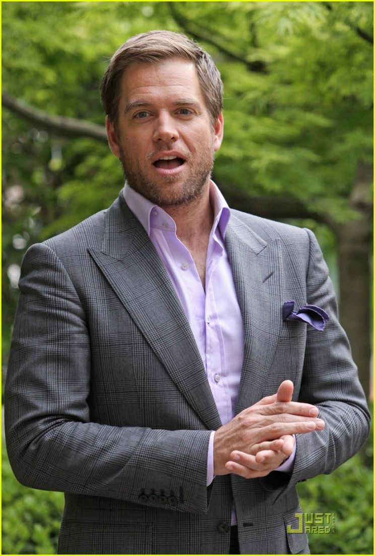 Michael Weatherly