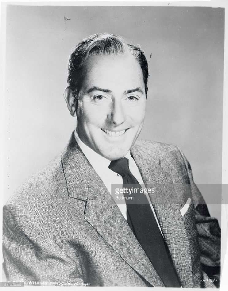 Michael Wilding