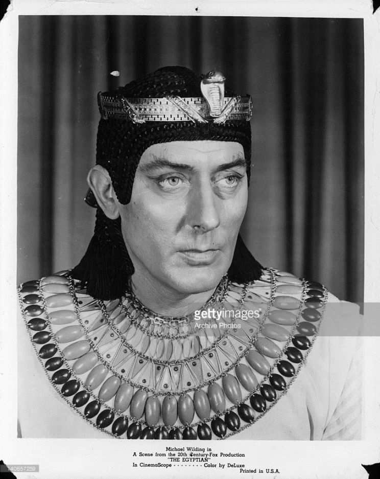 Michael Wilding