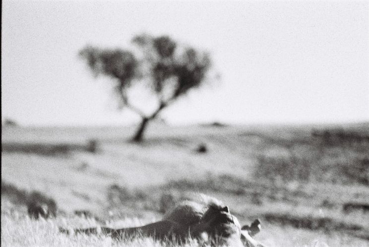 Michael Wildman