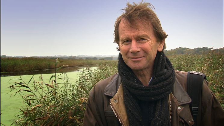 Michael Wood