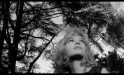 Michelangelo Antonioni