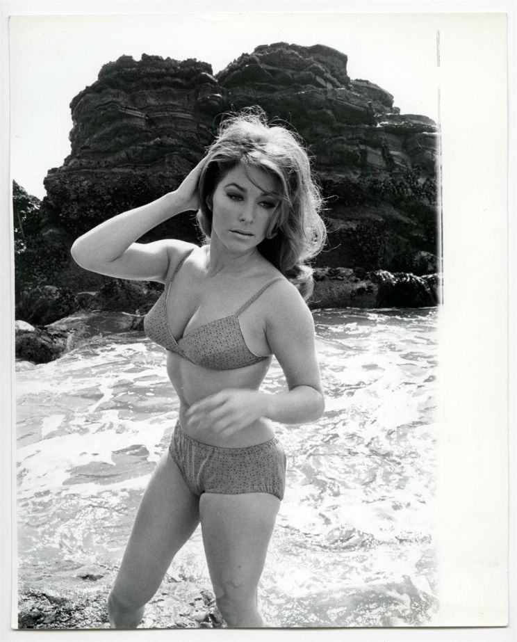 Michele Carey