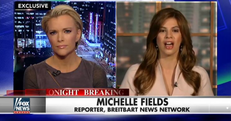 Michelle Fields