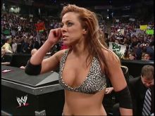 Michelle McCool #3999992 picture (Landscape Medium)