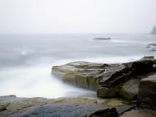 Michelle Michaels photo