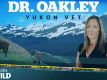 Michelle Oakley