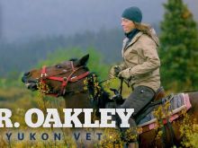 Michelle Oakley