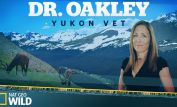 Michelle Oakley