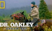 Michelle Oakley
