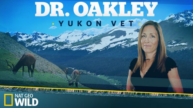 Michelle Oakley
