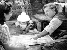 Mickey Rooney Jr. photo