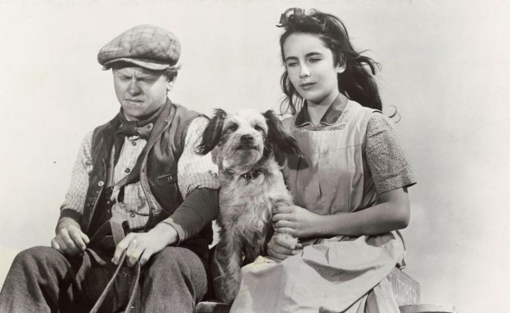 Mickey Rooney Jr.
