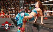 Mickie James