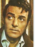 Mike Connors