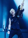 Mike Dirnt